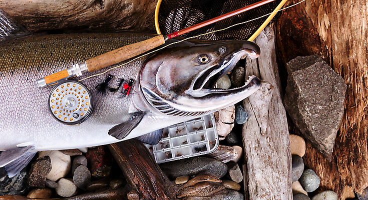 포토 JPG 해외이미지 선 스포츠 자연 낚시 어류 취미 사람없음 야외 목재 장비 수확 골동품 바위 그물 개울 컨테이너 은퇴 트로피 오브젝트 머리위 낚시꾼 연어 실타래 기어 얼레 송어 카피스페이스 해외202004 해외포토 나무 산업 농업 재료 레저 강 수중동물 공백 돌_바위 상_우승 생태계 파일형식 이미지허브