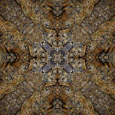 포토 JPG 해외이미지 동물 야생동물 백그라운드 패턴 오렌지 자연 조류 털 사람없음 갈색 검은색 회색 흰색 깃털 묘사 질감 부엉이 내추럴 고립 해외202004 해외포토 컬러 무늬 과일 생태계 파일형식 이미지허브