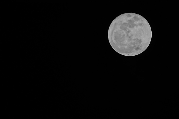 포토 JPG 해외이미지 사람없음 야외 회색 보름달 달 야간 해외202004 해외포토 자연요소 컬러 파일형식 이미지허브