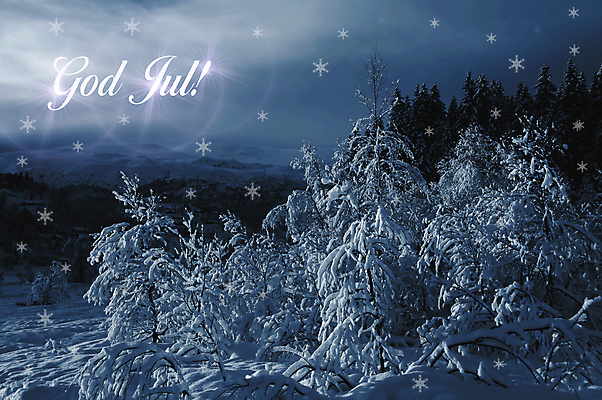 포토 JPG 해외이미지 나무 크리스마스 겨울 텍스트 자연 불꽃 스웨덴 노르웨이 풍경 사람없음 야외 파란색 냉동 추위 흰색 붓 소나무 숲 언덕 서리 자작나무 스칸디나비아 해외202004 해외포토 식물 계절 기념일 유럽 컬러 불 북유럽 생태계 파일형식 이미지허브