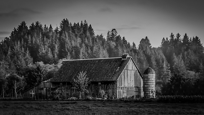 포토 JPG 해외이미지 외관 벽 백그라운드 밭 농업 건축양식 자연 하늘 바닥 주택 풍경 사람없음 야외 내부 건물 목재 여름 빛 농가 농장 문 목장 방 수확 골동품 시골 땅 버리기 복고 캘리포니아 헛간 외양간 그런지 깨짐 밭일 썩음 옛날 판잣집 해외202004 해외포토 나무 건축물 계절 건축 산업 컨셉 재료 모션 미국 생태계 저장고 파일형식 이미지허브