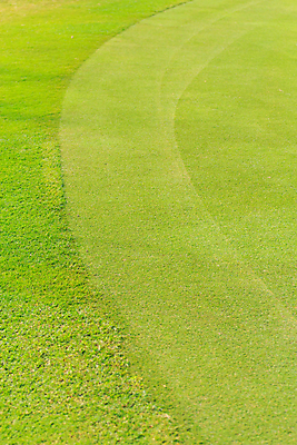 포토 JPG 해외이미지 나무 식물 직업 라이프스타일 스포츠 백그라운드 밭 골프 공 자연 놀이 휴가 풍경 잔디 사람없음 야외 초록색 여름 운동 태양 일몰 경쟁 장비 게임 흰색 골퍼 닫기 강의 오브젝트 클럽 슛 내추럴 골프티 해외202004 해외포토 자연요소 계절 컬러 컨셉 농업 모션 운동선수 골프용품 건강 생활 구기 노을 생태계 파일형식 이미지허브