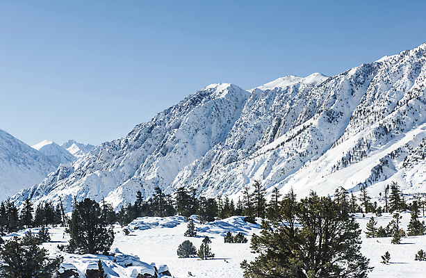 포토 JPG 해외이미지 계절 여행 겨울 하늘 산 풍경 사람없음 야외 파란색 냉동 추위 흰색 언덕 캘리포니아 멸종위기동물 1월 매머드 절정 해외202004 해외포토 동물 컬러 미국 날짜 파일형식 멸종위기종 이미지허브