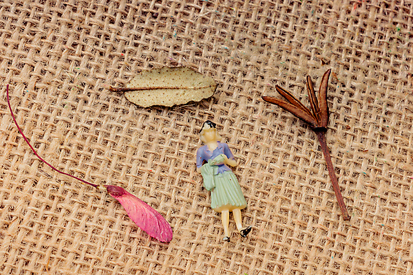 포토 JPG 해외이미지 낙엽 실내 사람없음 하이앵글 인물미니어처 갈색배경 해외202004 해외포토 뷰포인트 백그라운드 잎 내부 갈색 미니어처 파일형식 이미지허브