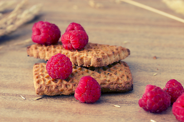 포토 JPG 해외이미지 탁자 씨앗 사람없음 장식 빨간색 갈색 쿠키 달콤 시리얼 냅킨 산딸기 오트밀 해외202004 해외포토 식물 음식 컬러 가구 과일 디저트 맛 파일형식 귀리 이미지허브