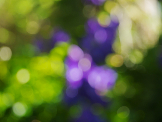 포토 JPG 해외이미지 도로 여행 백그라운드 크리스마스 교통시설 모션 자동차 추상 불꽃 거리 사람없음 아웃포커스 빨간색 파란색 빛 노란색 검은색 어둠 활발 도시 고급 야간 소프트포커스 출퇴근 방콕 보케 정의 방법 블러 많음 유흥 해외202004 해외포토 자연요소 기념일 길 육상교통 컬러 교통 컨셉 무늬 비즈니스 태국 불 촬영기법 시설 파일형식 이미지허브