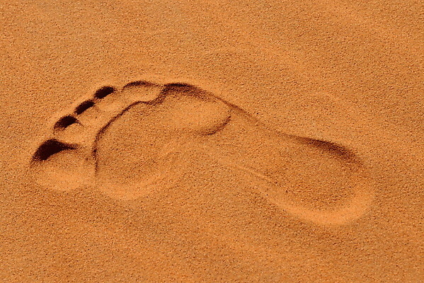 포토 JPG 해외이미지 길 모래 오렌지 아프리카 자연 건조 풍경 사람없음 야외 세로 여름 모래사장 햇빛 태양 걷기 우주 트래킹 사막 발자국 모래언덕 질감 모로코 단계 사하라 내추럴 루트 방법 선로 해외202004 해외포토 자연요소 계절 나라 바다 과일 자국 모션 레저 언덕 생태계 파일형식 이미지허브