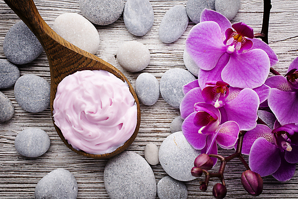 포토 JPG 해외이미지 식물 꽃잎 꽃 줄기 분홍색 백그라운드 자연 사람없음 스파 침묵 봄 난초 오브젝트 장면 해외202004 해외포토 계절 컬러 소리 생태계 파일형식 이미지허브