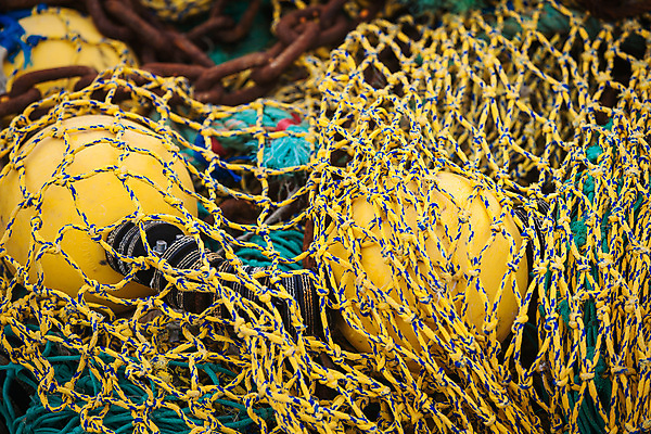포토 JPG 해외이미지 산업 선 바다 백그라운드 패턴 낚시 어류 사람없음 야외 초록색 물 파란색 항구 장비 그물 보트 해산물 상업 기어 해외202004 해외포토 자연요소 컬러 무늬 배_교통 교통시설 레저 수중동물 파일형식 이미지허브