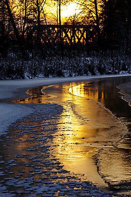포토 JPG 해외이미지 식물 계절 공원 실루엣 호수 백그라운드 겨울 자연 하늘 아침 날씨 갈대 풍경 사람없음 야외 물 빛 강 컬러풀 햇빛 태양 반사 노란색 일출 황혼 일몰 새벽 추위 저녁 숲 장면 해외202004 해외포토 주간 자연요소 공공시설 컬러 촬영기법 노을 야간 생태계 파일형식 이미지허브