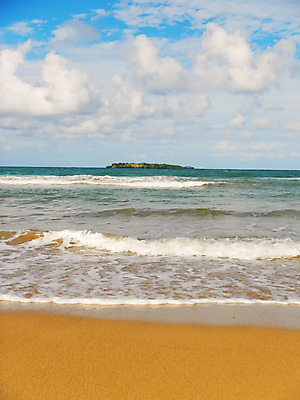 포토 JPG 해외이미지 나무 구름 모래 바다 섬 하늘 손바닥 사람없음 물 파란색 모래사장 대서양 공화국 이국적 파라다이스 해외202004 해외포토 자연요소 식물 손 나라 컬러 파일형식 이미지허브