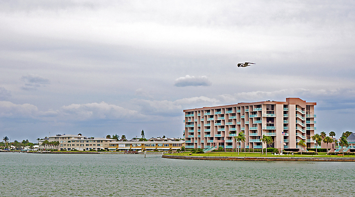 포토 JPG 해외이미지 계절 모래 여행 북아메리카 갈매기 사람없음 건물 물 여행객 평화 항구 미국 침묵 만 은퇴 방문 흐림 개발 줄서기 플로리다 해외202004 해외포토 자연요소 건축물 컨셉 교통시설 모션 조류 날씨 아메리카 사람 소리 파일형식 이미지허브