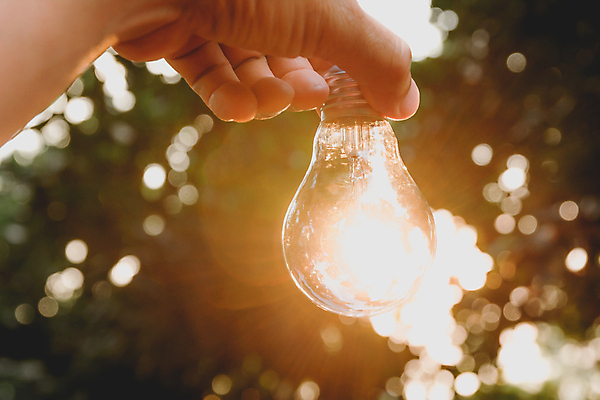 포토 JPG 해외이미지 모양 디자인 백그라운드 컨셉 비즈니스 전구 가정 자연 유리 조명 아이디어 매달리기 창조 사람없음 빛 환경 검은색 힘 재활용 장비 저축 에너지 흰색 램프 보호 정상 대표 오브젝트 백열등 만들기 빛망울 혁명 광 발명 효율 스타일 미니멀 해외202004 해외포토 컬러 모션 재질 금융 친환경 생태계 파일형식 이미지허브