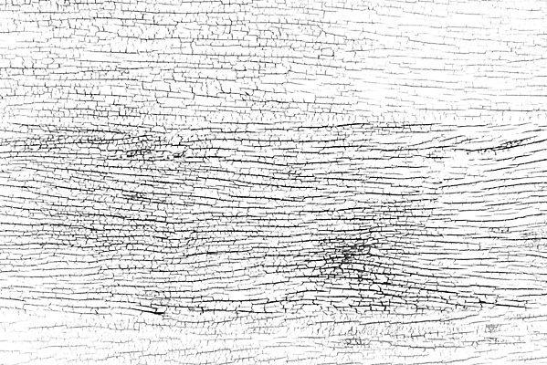 포토 JPG 해외이미지 나무 선 벽 조각 백그라운드 패턴 벤치 자연 벽지 탁자 표면 날씨 건조 사람없음 목재 검은색 줄무늬 고통 흰색 거친 널 낟알 타일 책상 묘사 질감 복고 통나무 덮기 찢어짐 잡동사니 내추럴 그런지 엘리먼트 옛날 해외202004 해외포토 식물 감정 컬러 가구 무늬 의자 재료 모션 생태계 파일형식 이미지허브