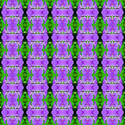 포토 JPG 해외이미지 식물 디자인 꽃잎 꽃 줄기 꽃다발 백그라운드 잎 꽃무늬 패턴 자연 벽지 추상 선물 사람없음 장식 초록색 컬러풀 보라색 벚꽃 나뭇가지 신선 난초 우아함 제비꽃 즐거움 호접란 내추럴 해외202004 해외포토 나무 감정 컬러 컨셉 무늬 생태계 파일형식 이미지허브