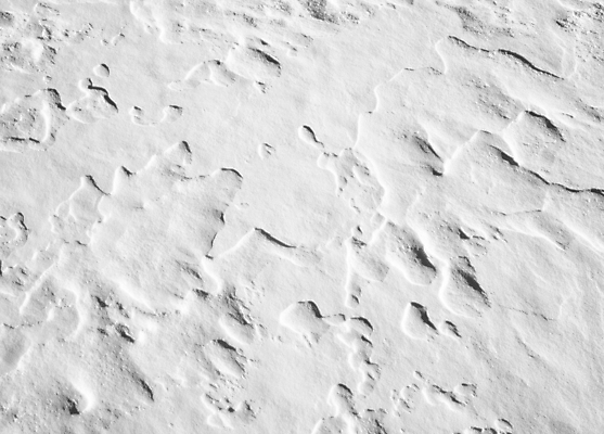 포토 JPG 해외이미지 파도 백그라운드 겨울 자연 추상 흑백 그림자 사람없음 회색 추위 흰색 12월 11월 땅 남극 질감 북쪽 물결무늬 눈보라 1월 2월 울퉁불퉁 해외202004 해외포토 계절 물결 바다 컬러 무늬 눈_날씨 촬영기법 날짜 극지방 방향 생태계 파일형식 이미지허브