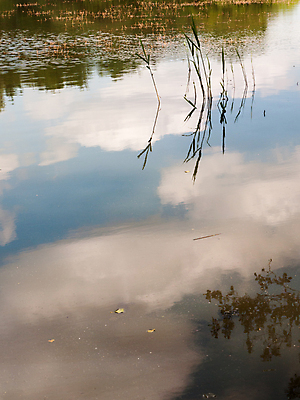 포토 JPG 해외이미지 나무 구름 호수 파도 여행 백그라운드 패턴 자연 하늘 표면 추상 휴식 풍경 사람없음 야외 초록색 물 여름 파란색 빛 강 햇빛 태양 반사 환경 침묵 고요 봄 시골 연못 액체 저녁 질감 장면 내추럴 수평선 해외202004 해외포토 자연요소 식물 계절 바다 컬러 컨셉 무늬 소리 야간 생태계 파일형식 이미지허브
