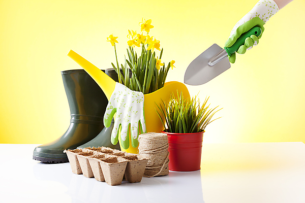 포토 JPG 해외이미지 식물 꽃 화분 지구 장갑 잎 농업 자연 부츠 사람없음 노란색 금속 흙 봄 장비 공구 업무 캔 냄비 모종삽 삽 허브 물주기 원예 먼지 수선화 통조림 로즈메리 고립 돌봄 세이지 오레가노 철강 많음 해외202004 해외포토 잡화 계절 산업 컬러 신발 컨셉 모션 재질 취미 도구 작업 솥 생태계 파일형식 이미지허브