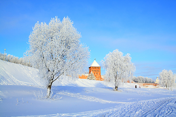 포토 JPG 해외이미지 주간 나무 겨울 하늘 사람없음 야외 건물 교회 설원 과거 겨울풍경 해외202004 해외포토 자연요소 식물 건축물 계절 컨셉 종교건축 눈_날씨 풍경 파일형식 이미지허브