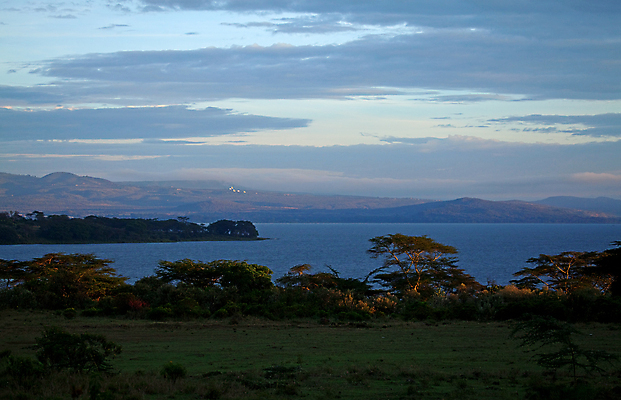 포토 JPG 해외이미지 나무 구름 여행 아프리카 조류 하늘 휴가 산 풍경 사람없음 물 일출 새벽 시골 사파리 장면 케냐 아카시아 해외202004 해외포토 자연요소 식물 동물 나라 노을 파일형식 이미지허브