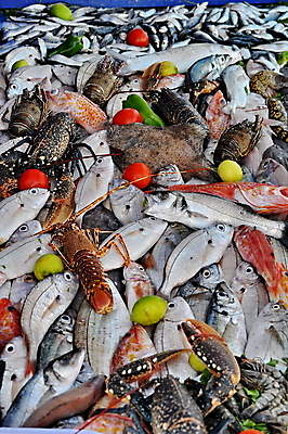 포토 JPG 해외이미지 산업 음식 바다 백그라운드 재료 낚시 조개 새우 건강 어류 요리 사람없음 빨간색 판매 상점 식당 냉동 얼음 추위 게 신선 잡기 시장 먹기 해산물 날것 연어 해외202004 해외포토 자연요소 컬러 모션 레저 어패류 갑각류 수중동물 파일형식 이미지허브