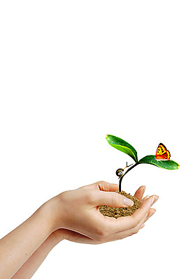 포토 JPG 해외이미지 나무 식물 계절 꽃 호수 꽃다발 백그라운드 단풍 잎 밭 자연 하늘 날씨 추상 부활절 사람없음 야외 초록색 물 여름 파란색 빛 강 컬러풀 태양 환경 정원 봄 성장 나뭇가지 신선 숲 꽃집 유기농 고립 해외202004 해외포토 자연요소 웰빙 기념일 컬러 무늬 농업 상점 생태계 파일형식 이미지허브