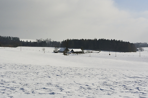포토 JPG 해외이미지 나무 계절 공원 도로 크리스마스 겨울 오렌지 자연 하늘 날씨 풍경 사람없음 야외 파란색 태양 일몰 추위 흰색 시골 서리 장면 1월 눈내림 해외202004 해외포토 자연요소 식물 공공시설 기념일 길 컬러 과일 교통시설 눈_날씨 노을 날짜 생태계 파일형식 이미지허브