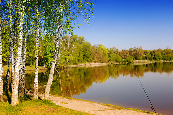 포토 JPG 해외이미지 나무 식물 계절 호수 백그라운드 잎 자연 하늘 풍경 사람없음 야외 물 파란색 빛 갈색 노란색 맑음 침묵 봄 나뭇가지 소나무 닫기 숲 큼 해외202004 해외포토 자연요소 컬러 모션 날씨 소리 크기 생태계 파일형식 이미지허브