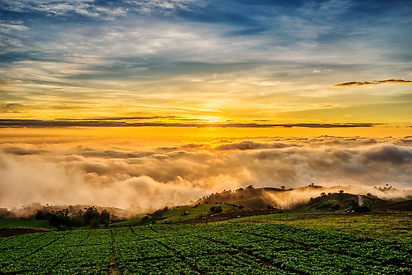 포토 JPG 해외이미지 나무 구름 별 과학 태국 하늘 아침 날씨 산 풍경 사람없음 여름 파란색 글로벌 햇빛 태양 일출 힘 침묵 황혼 일몰 새벽 재활용 행성 사막 에너지 달 변화 정상 야간 상승 하와이 자원 유지 되감기 수평선 해외202004 해외포토 주간 자연요소 식물 계절 아시아 컬러 컨셉 우주 노을 미국 소리 친환경 파일형식 이미지허브