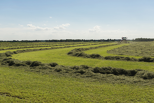 포토 JPG 해외이미지 직업 겨울 밭 농업 자연 사람없음 여름 농작물 농장 농경지 수확 시골 볏짚 농부 먹이 자르기 흔들림 트랙터 계약자 셰이커 해외202004 해외포토 계절 산업 모션 짚 농기계 계약 생태계 특수차량 파일형식 이미지허브