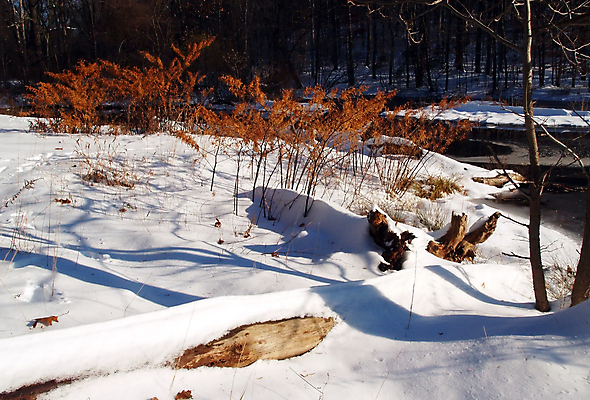 포토 JPG 해외이미지 나무 계절 공원 호수 잎 겨울 오렌지 자연 날씨 풍경 사람없음 야외 물 파란색 빛 강 반사 냉동 얼음 침묵 일몰 추위 가을 떨어짐 저녁 숲 서리 브런치 엽서 반투명 해외202004 해외포토 자연요소 식물 공공시설 컬러 컨셉 과일 노을 식사 소리 야간 편지 생태계 파일형식 이미지허브