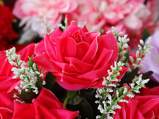 포토 JPG 해외이미지 식물 공원 꽃잎 꽃 꽃다발 백그라운드 잎 꽃무늬 밭 농업 자연 새로움 사람없음 야외 장식 초록색 여름 컬러풀 화장 장미 정원 성장 벚꽃 나뭇가지 신선 화려 개화 허브 내추럴 인공 해외202004 해외포토 나무 계절 공공시설 산업 컬러 컨셉 무늬 뷰티 생태계 파일형식 이미지허브