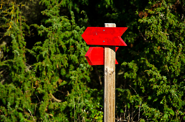 포토 JPG 해외이미지 길 여행 백그라운드 컨셉 지도 가이드 통신 화살 안내 사람없음 야외 목재 빨간색 초록색 페인트 산책 트래킹 정보 표지판 선택 숲 오솔길 방향 심볼 사인 옵션 쇼 루트 방법 선로 조언 충고 향나무 혼란 해외202004 해외포토 나무 직업 컬러 재료 레저 휴식 알림판 파일형식 이미지허브