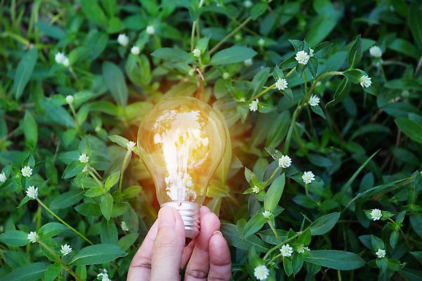 포토 JPG 해외이미지 여자 백그라운드 컨셉 크리스마스 비즈니스 전구 손가락 유리 성공 추상 아이디어 매달리기 관리 손바닥 사람 성인 사람없음 내부 장식 초록색 빛 에너지 엄지손가락 수확 골동품 축하 인사 잡기 사인 뇌 보케 팔 해외202004 해외포토 손 기념일 컬러 무늬 농업 모션 재질 신체부위 예절 파일형식 이미지허브