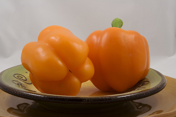 포토 JPG 해외이미지 식물 접시 채소 오렌지 자연 요리 사람없음 여름 컬러풀 태양 농장 정원 샐러드 종 신선 달콤 먹이 굽기 먹기 원예 토막 수유 해외202004 해외포토 자연요소 식기 계절 음식 컬러 농업 과일 모션 취미 맛 구이 생태계 파일형식 이미지허브