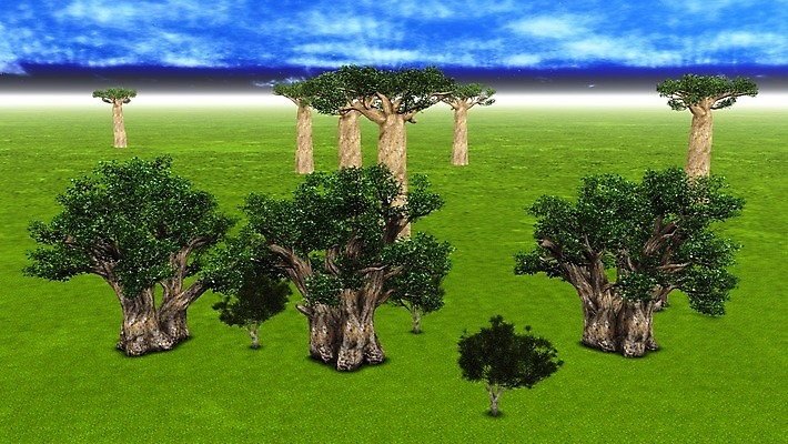 포토 JPG 해외이미지 모양 나무 식물 공원 실루엣 야생동물 여행 오렌지 아프리카 자연 하늘 풍경 사람없음 야외 파란색 빛 세트 세계 태양 노란색 일출 환경 황혼 일몰 나뭇가지 원주민 큼 제비꽃 사파리 윤곽 내추럴 마다가스카르 사바나 옛날 이국적 전국 해외202004 해외포토 자연요소 동물 공공시설 꽃 나라 컬러 과일 촬영기법 노을 아프리카인 크기 생태계 파일형식 이미지허브