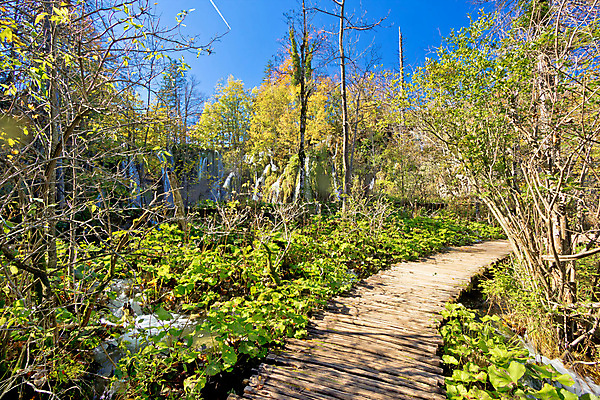포토 JPG 해외이미지 나무 공원 유럽 길 호수 자연 안테나 풍경 사람없음 초록색 물 파란색 강 컬러풀 여행객 환경 골짜기 계곡 놀람 절벽 폭포 산책로 흐름 가을 바위 황무지 숲 크로아티아 내추럴 전국 터키석 해외202004 해외포토 자연요소 식물 계절 공공시설 감정 나라 컬러 컨셉 통신 표정 사람 돌_바위 보석 생태계 파일형식 이미지허브