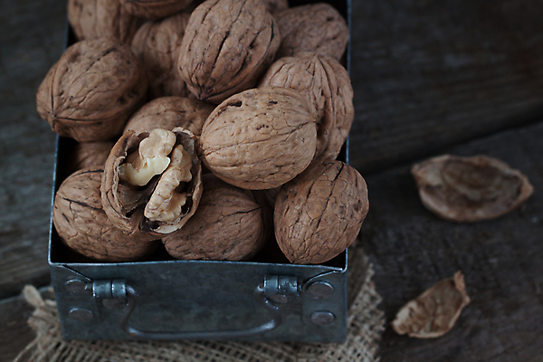 포토 JPG 해외이미지 음식 백그라운드 과일 자연 건조 사람없음 목재 상자 갈색 노란색 쌓기 견과류 껍질 가을 흰색 자르기 철 오브젝트 알맹이 날것 호두 내추럴 단백질 특별함 해외202004 해외포토 나무 계절 컬러 컨셉 재료 모션 생태계 영양소 파일형식 이미지허브