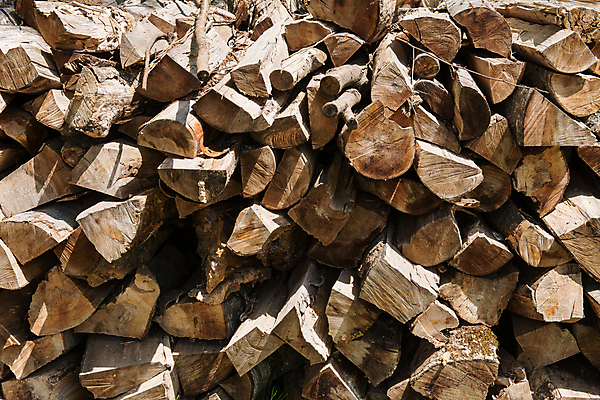 포토 JPG 해외이미지 나무 산업 백그라운드 겨울 패턴 자연 불 추상 사람없음 야외 목재 갈색 노란색 쌓기 환경 재활용 에너지 시골 뜨거움 원형 거친 숲 장작 자르기 배열 묘사 질감 날것 통나무 나무껍질 연료 잡동사니 흙더미 다리찢기 유지 내추럴 수목 화상 해외202004 해외포토 자연요소 도형 식물 계절 컬러 무늬 재료 모션 흙 껍질 상처 친환경 생태계 파일형식 더미 이미지허브