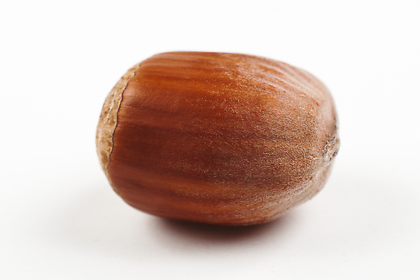 포토 JPG 해외이미지 식물 1 계절 음식 백그라운드 패턴 과일 재료 건조 건강 3 씨앗 사람없음 목재 가로 갈색 견과류 껍질 가을 흰색 그룹 먹기 오브젝트 싱글 유기농 알맹이 호두 흙더미 내추럴 개암나무 고립 식용 채식주의자 개암 해외202004 해외포토 나무 웰빙 열매 컬러 무늬 모션 흙 채식 파일형식 더미 이미지허브