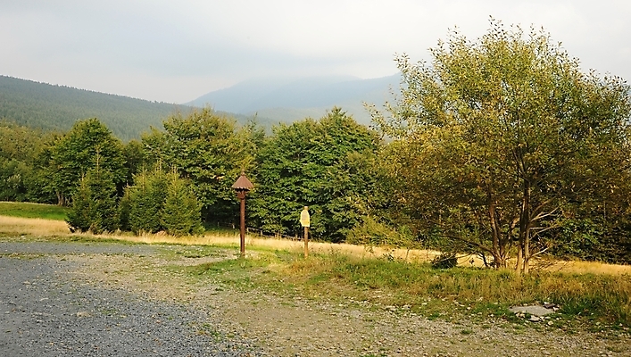 포토 JPG 해외이미지 나무 구름 여행 백그라운드 자연 하늘 아침 날씨 산 풍경 사람없음 야외 환경 계곡 어둠 일몰 안개 숲 언덕 내추럴 뿌연 해외202004 해외포토 주간 자연요소 식물 노을 생태계 파일형식 이미지허브
