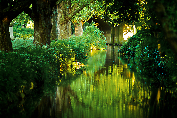 포토 JPG 해외이미지 나무 식물 공원 꽃 여행 잎 자연 잉글랜드 사람 풍경 사람없음 야외 초록색 물 여름 강 반사 정원 금지 숲 신비 그림 원예 런던 수로 해외202004 해외포토 자연요소 계절 공공시설 컬러 컨셉 영국 취미 생태계 파일형식 이미지허브