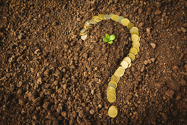 포토 JPG 해외이미지 모양 나무 식물 손 백그라운드 컨셉 잎 돈 농업 비즈니스 자연 표시 새로움 사람없음 초록색 금융 경제 농장 쌓기 달러 금속 정원 동전 흙 봄 저축 성장 흰색 원형 변화 시장 재산 은색 작음 질문 흔적 투자 구역 모종 센트 심기 해외202004 해외포토 도형 계절 산업 컬러 모션 재질 신체부위 크기 생태계 파일형식 이미지허브