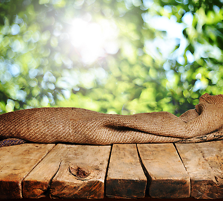 포토 JPG 해외이미지 템플릿 디자인 공원 포스터 백그라운드 잎 자연 탁자 추상 전등 사람없음 야외 목재 초록색 여름 태양 정원 맑음 봄 덮개 시골 널 갑판 레이아웃 복고 정사각형 보케 페이지 카피스페이스 해외202004 해외포토 자연요소 도형 나무 식물 계절 공공시설 컬러 가구 무늬 배_교통 재료 날씨 조명 공백 뚜껑 생태계 파일형식 이미지허브
