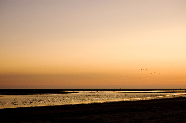 포토 JPG 해외이미지 동물 구름 행복 포스터 모래 파도 바다 오렌지 자연 갈매기 조류 날씨 휴가 풍경 사람없음 물 여름 컬러풀 햇빛 평화 일출 맑음 일몰 황금 야간 그림 해외202004 해외포토 자연요소 계절 감정 컬러 컨셉 과일 태양 노을 생태계 파일형식 이미지허브
