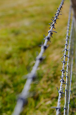 포토 JPG 해외이미지 스트레스 경고 사람없음 초록색 빛 울타리 금속 꿈 죽음 보호 위험 무서움 탈출 철 감옥 순수 날카로움 블러 얇은 해외202004 해외포토 감정 컬러 컨셉 재질 담장 파일형식 이미지허브