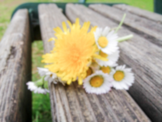 포토 JPG 해외이미지 식물 디자인 계절 꽃 벽 백그라운드 꽃무늬 밭 벤치 자연 탁자 휴가 휴식 주택 사람없음 야외 목재 초록색 여름 태양 정원 꽃병 맑음 봄 흰색 신선 소프트포커스 데이지 보케 내추럴 옛날 캐모마일 해외202004 해외포토 자연요소 나무 컬러 가구 컨셉 무늬 농업 의자 재료 날씨 촬영기법 건물 허브 생태계 파일형식 이미지허브