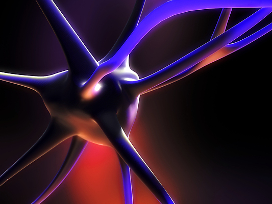 포토 JPG 해외이미지 과학 신체 해부 생물 세포 사람 사람없음 머리 뇌 생물학 만들기 바이오 해외202004 해외포토 교육 의학 모션 신체부위 파일형식 이미지허브