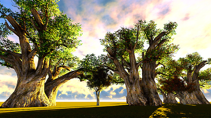 포토 JPG 해외이미지 모양 나무 식물 공원 실루엣 야생동물 여행 오렌지 아프리카 자연 하늘 풍경 사람없음 야외 빨간색 파란색 빛 세트 세계 태양 노란색 일출 환경 황혼 일몰 나뭇가지 원주민 큼 제비꽃 사파리 윤곽 내추럴 사바나 옛날 이국적 전국 해외202004 해외포토 자연요소 동물 공공시설 꽃 나라 컬러 과일 촬영기법 노을 아프리카인 크기 생태계 파일형식 이미지허브