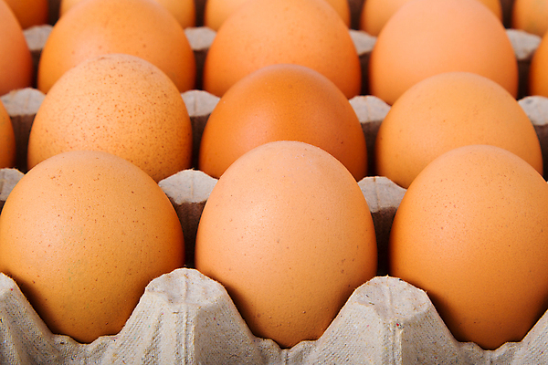 포토 JPG 해외이미지 종이 음료 음식 건강 사람없음 상자 갈색 계란 흰색 신선 그룹 큼 유기농 날것 고립 줄서기 해외202004 해외포토 웰빙 컬러 모션 알 크기 파일형식 이미지허브